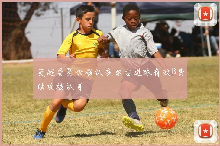 英超委员会确认多尔古进球有效B费助攻被认可